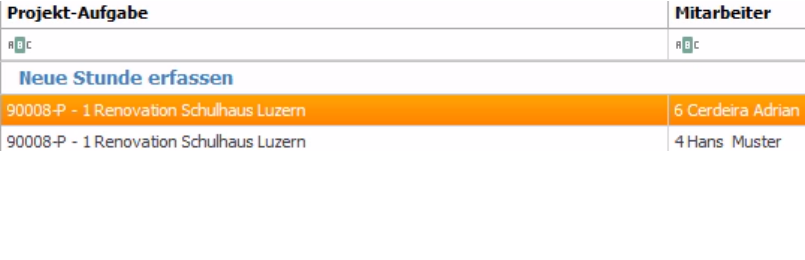 Stunden erfassen